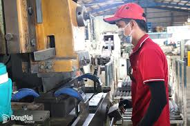 Phân vân giữa hai con đường tương lai